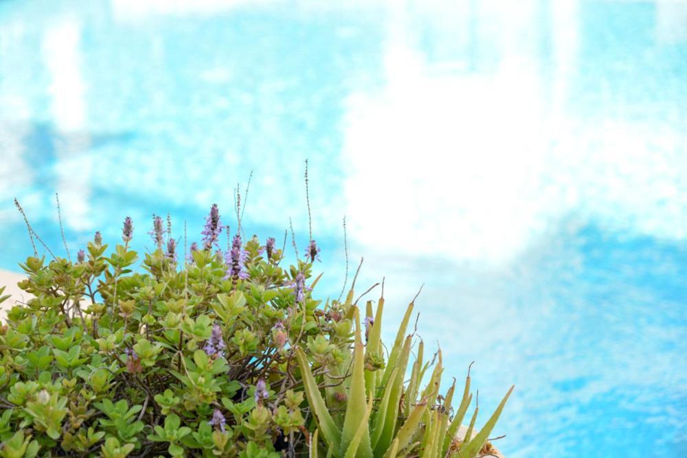 Paphos Royal Seacrest А203 Sea View Apartment מראה חיצוני תמונה