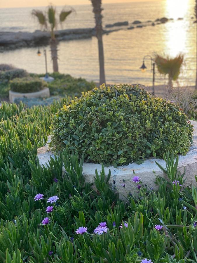 Paphos Royal Seacrest А203 Sea View Apartment מראה חיצוני תמונה