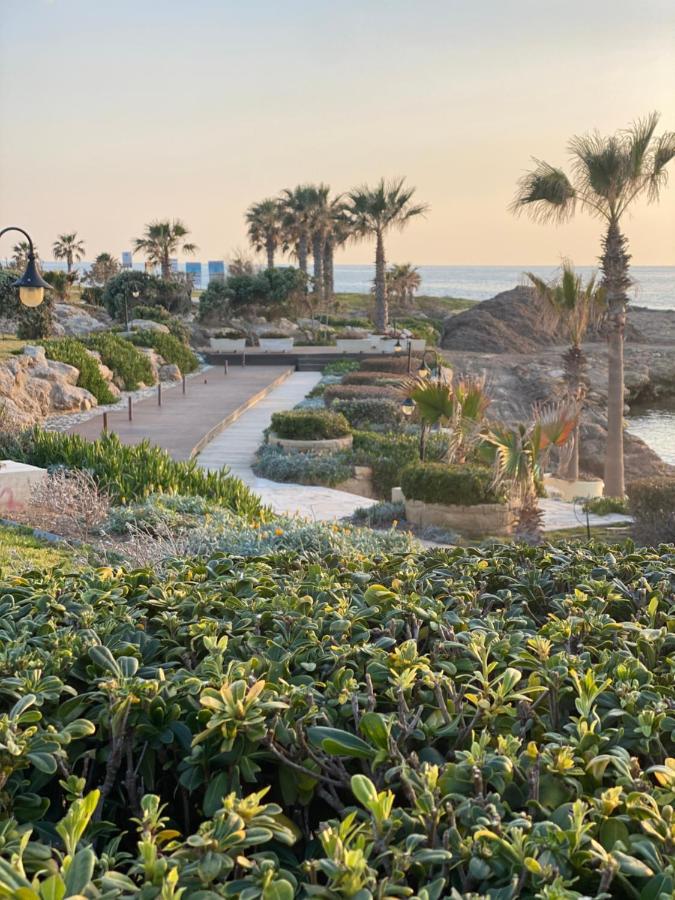 Paphos Royal Seacrest А203 Sea View Apartment מראה חיצוני תמונה