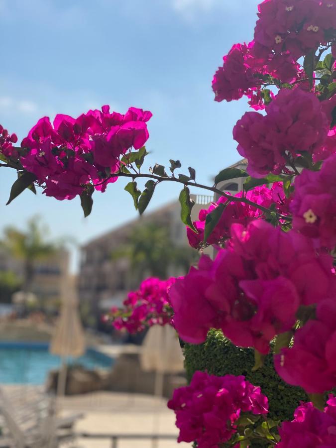Paphos Royal Seacrest А203 Sea View Apartment מראה חיצוני תמונה